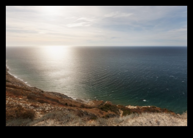 גלי יופי: נופי החוף והחוף שדמיינו מחדש