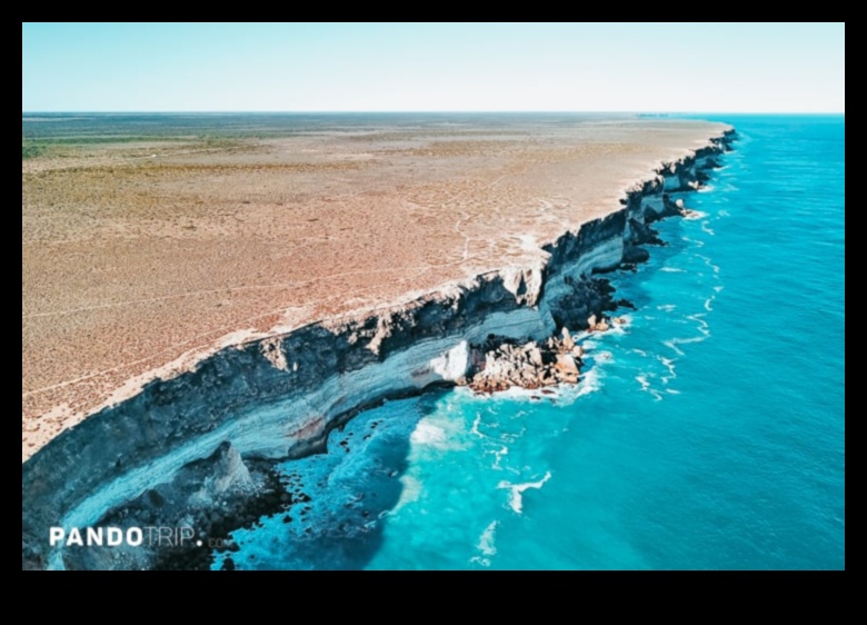 גלי יופי: נופי החוף והחוף שדמיינו מחדש