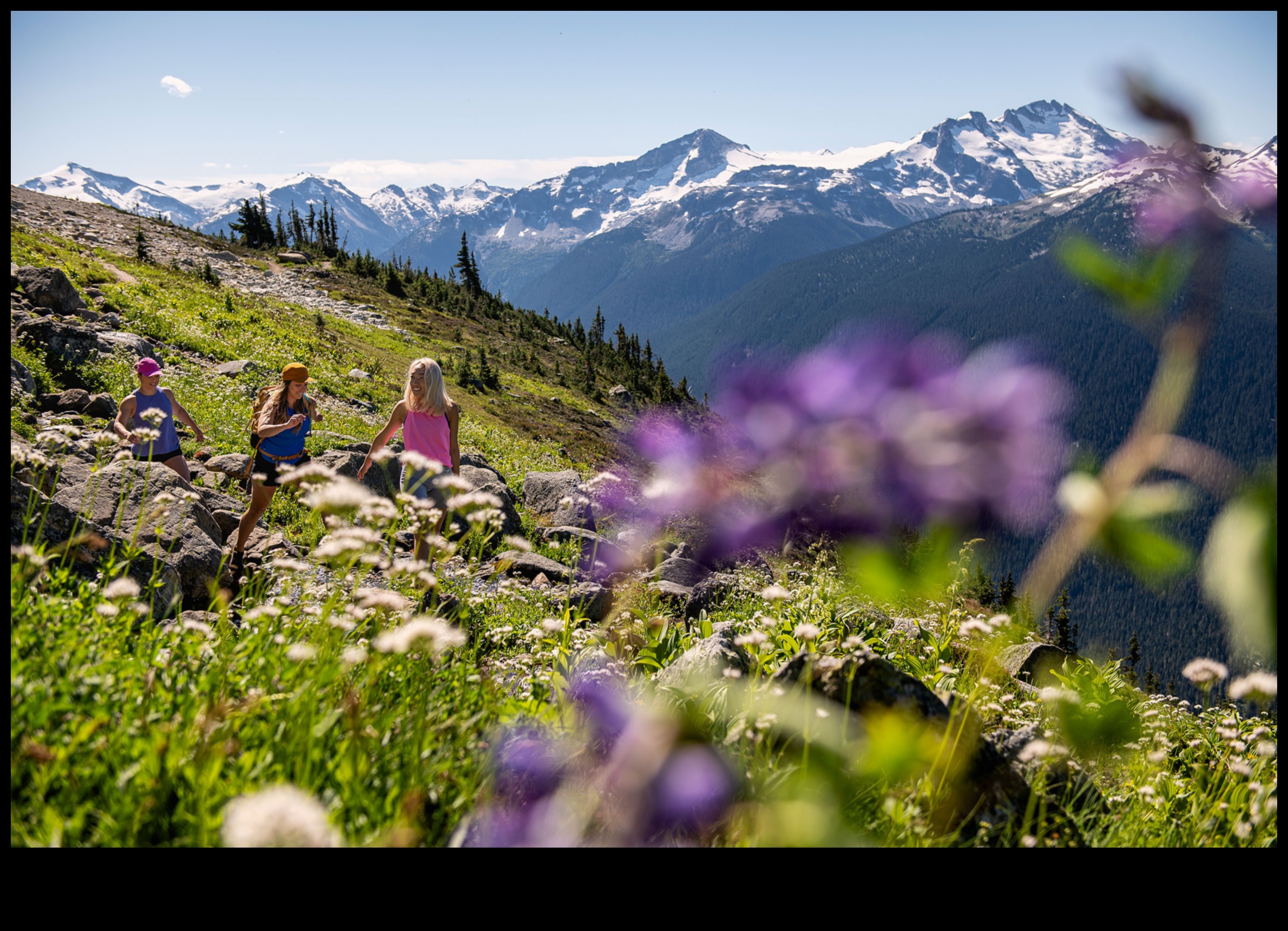 שבילי הרים: טיול דרך נופים אלפיניים