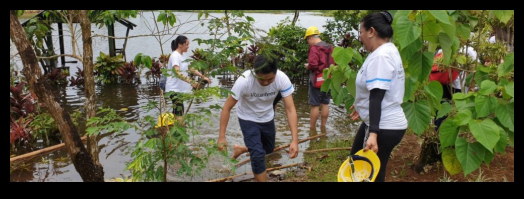 איזה תפקיד ממלאות שיטות נטיעות ילידיות בעיצוב נופים?