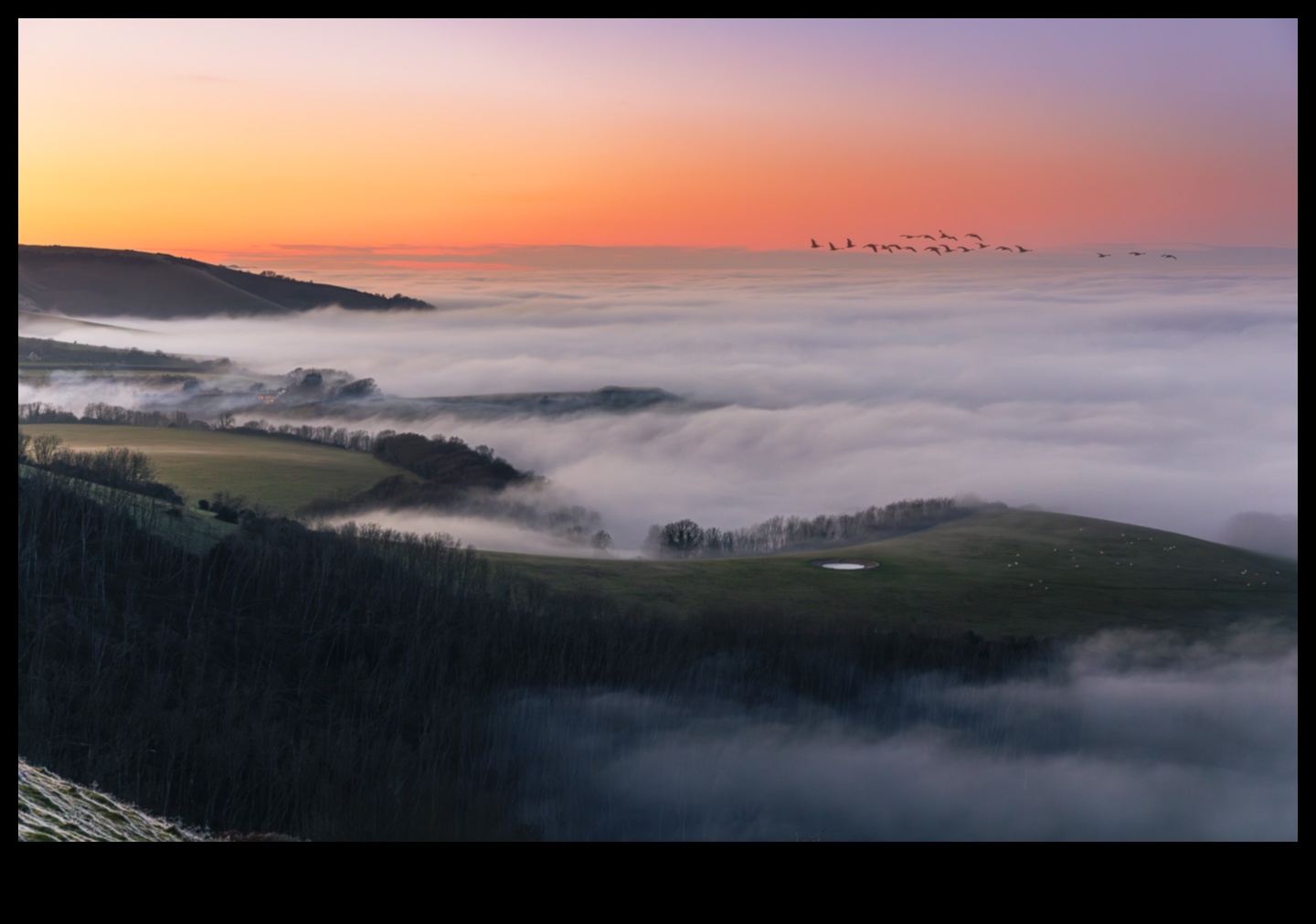 חקור את הקסם של נופים פוריים 2 פרדסים בפריחה: חקר הקסם של נופים פוריים