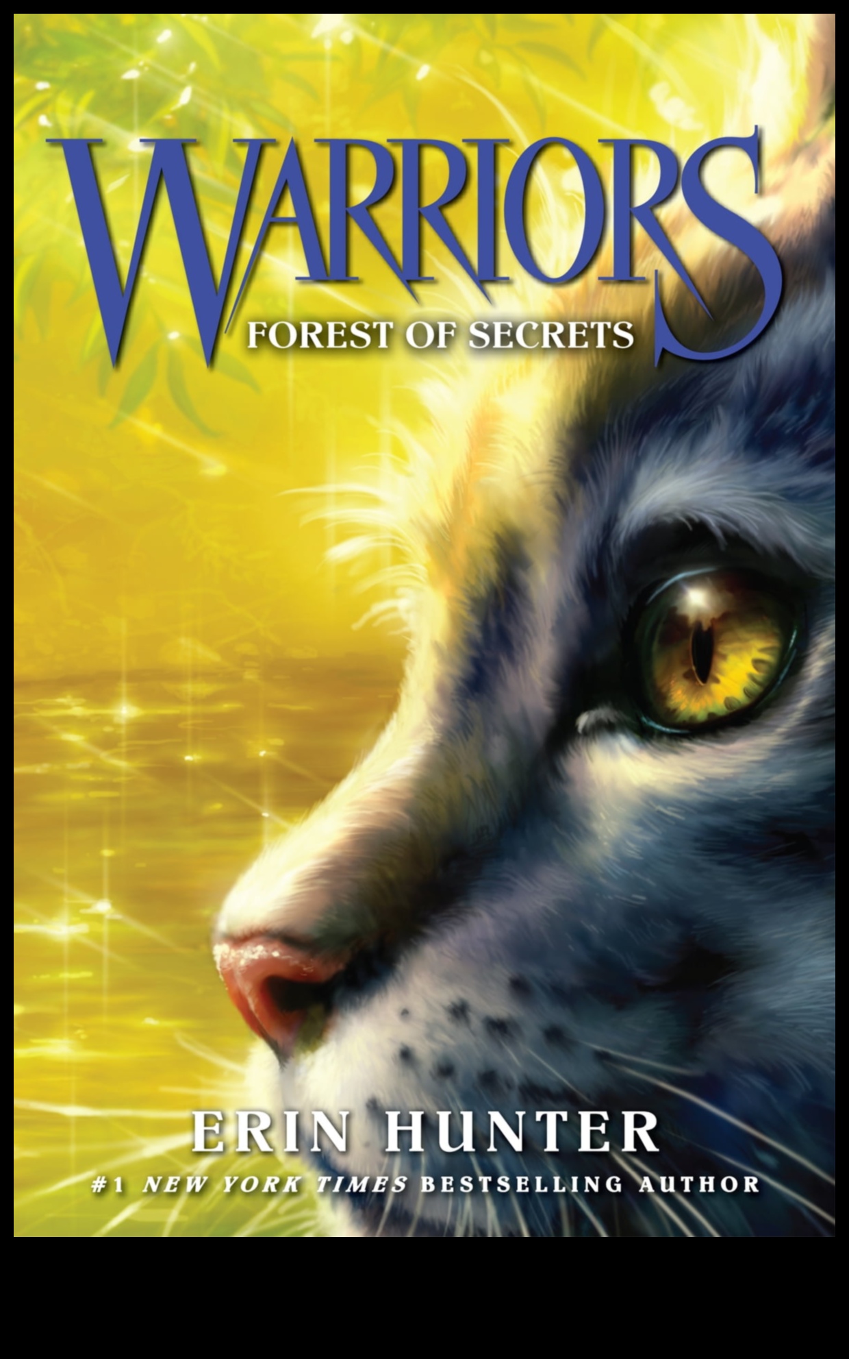 יער של סודות 2 חופות לוחשות: המיסטיקה של סצנות יער ויער