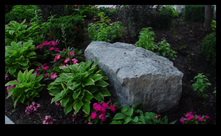 נופים בהרמוניה: לכידת היופי המאוזן של כדור הארץ