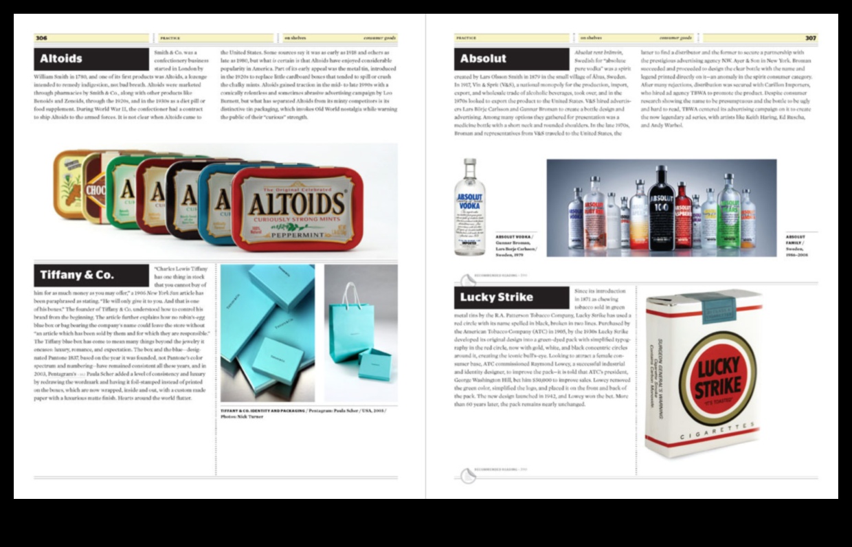 שפת הדימויים: תקשורת באמצעות עיצוב גרפי