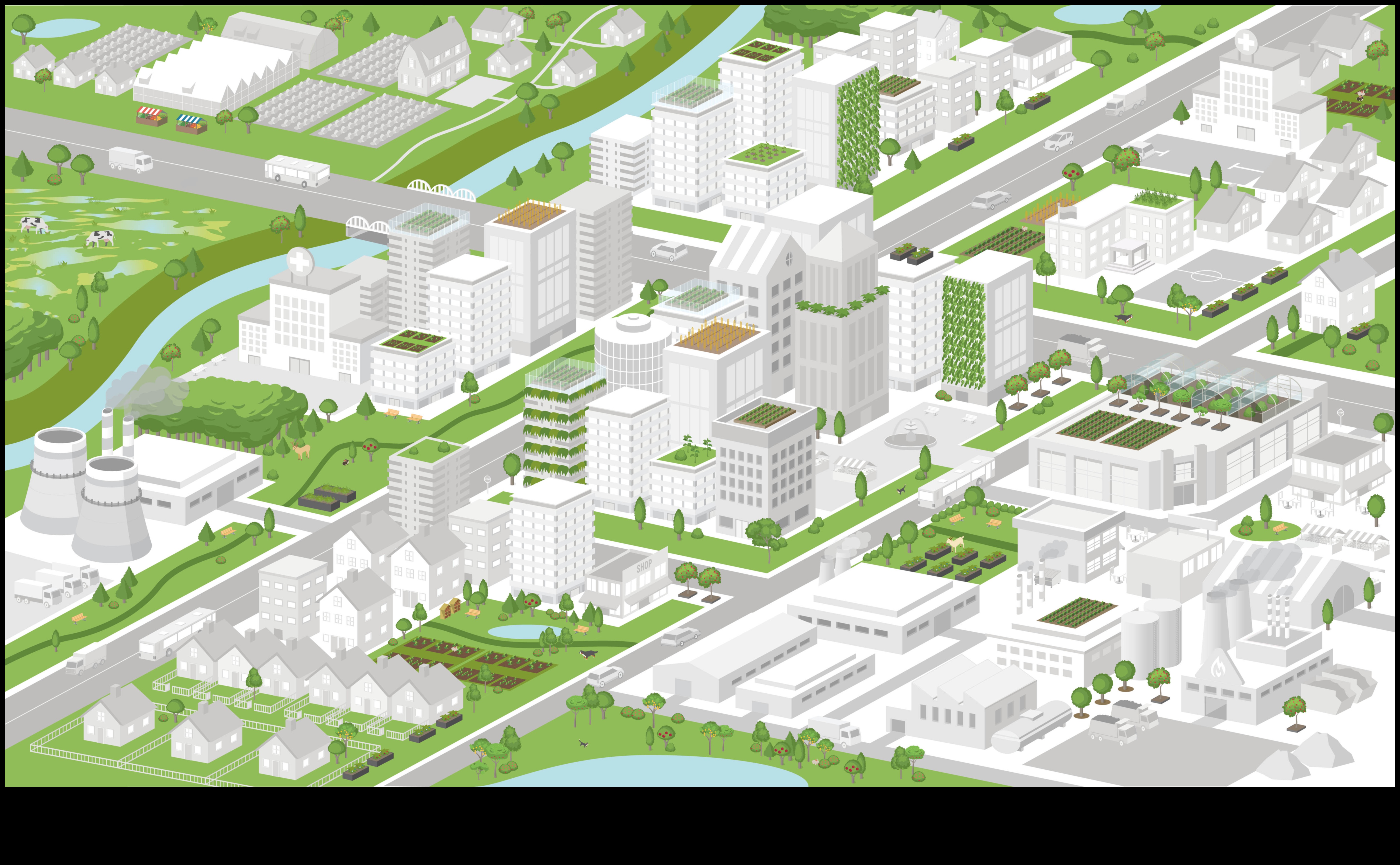 טבע בעיר מערכת אקולוגית משגשגת 5 מגוון ביולוגי עירוני: החי והצומח בנופי העיר