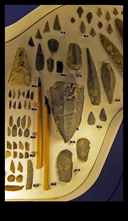 חפצי אומנות: האומנות של כלים פרהיסטוריים