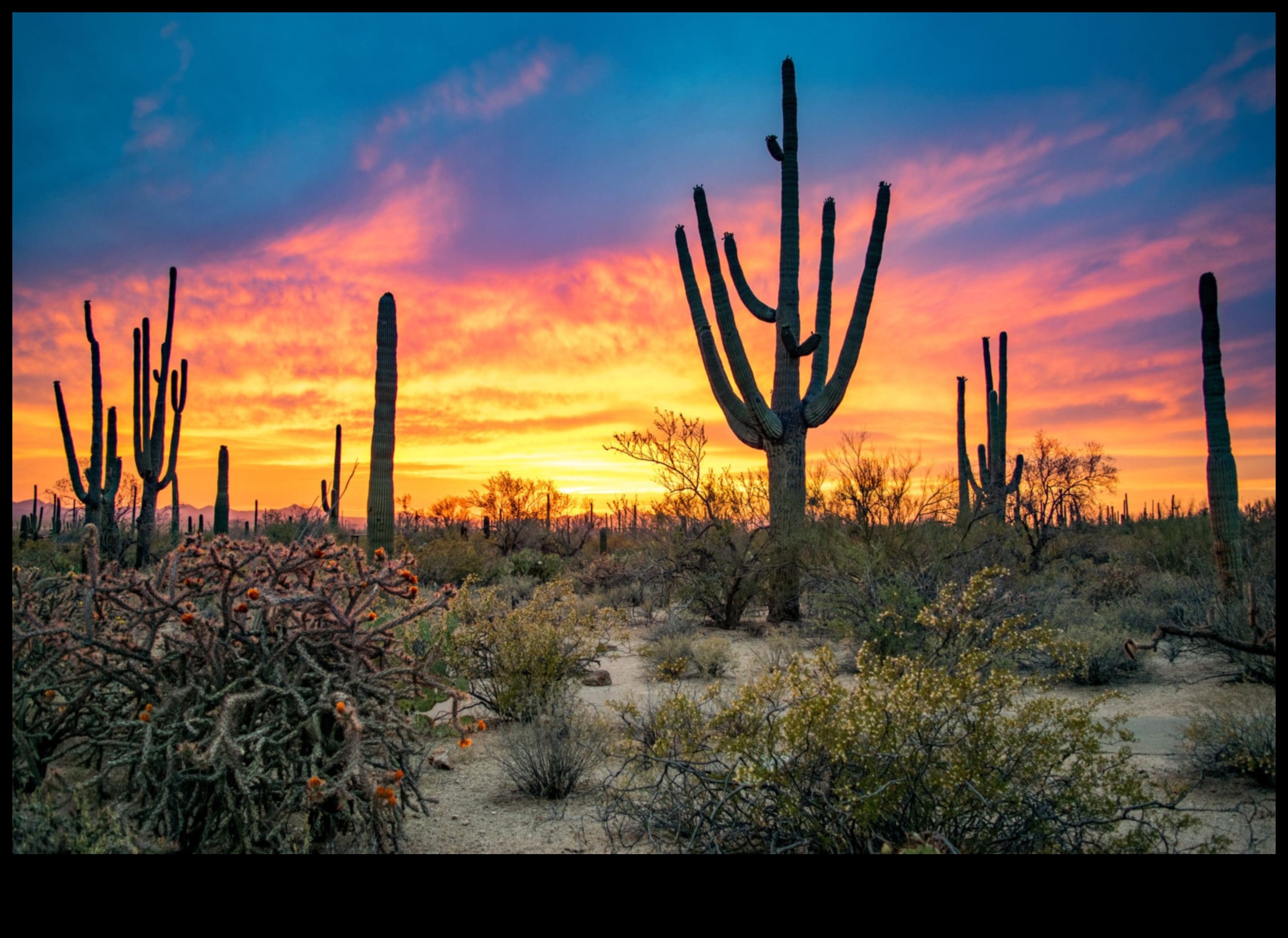 נוף חלומי במדבר: חשיפת היופי של נופים יבשים