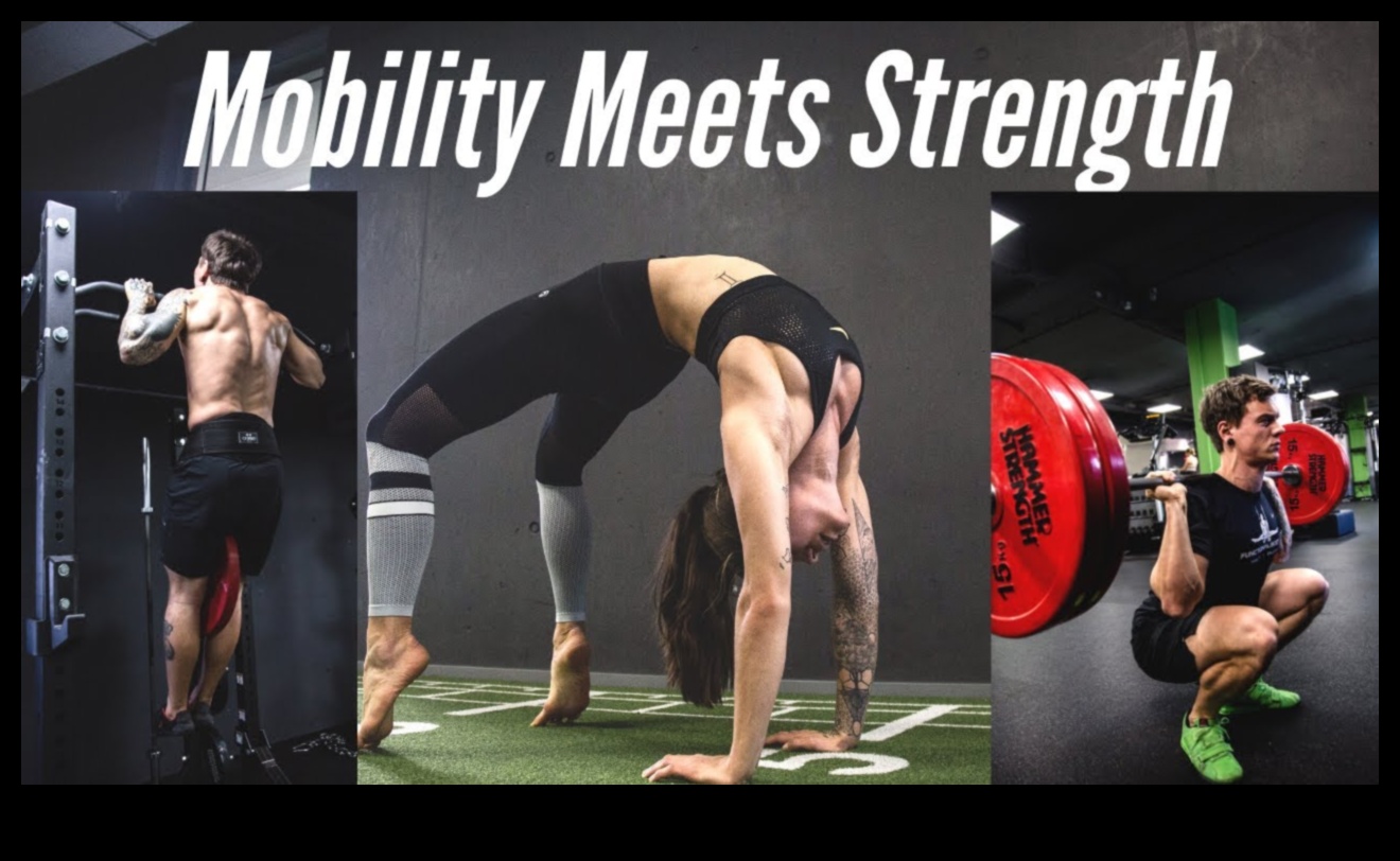 Flex Fusion: אומנות השילוב בין כוח, ניידות וחן