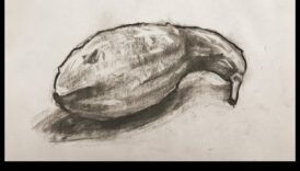 אמנות ההתבוננות: טכניקות רישום חיים נחשפו