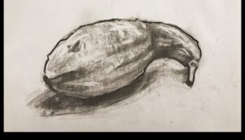 אמנות ההתבוננות: טכניקות רישום חיים נחשפו