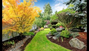 נופים בהרמוניה: לכידת היופי המאוזן של כדור הארץ