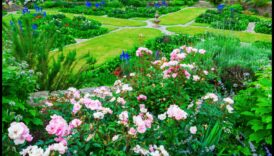 מקומות קדושים ירוקים: גילוי מחדש של גנים ומקלטים ירוקים