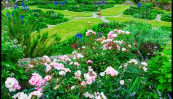 מקומות קדושים ירוקים: גילוי מחדש של גנים ומקלטים ירוקים