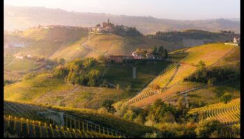 פרדסים בפריחה: חקר הקסם של נופים פוריים