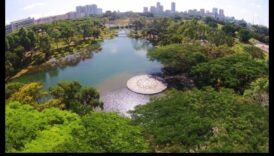 מגוון ביולוגי עירוני: החי והצומח בנופי העיר