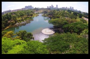 מגוון ביולוגי עירוני: החי והצומח בנופי העיר
