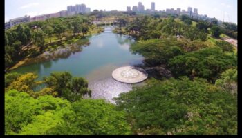 מגוון ביולוגי עירוני: החי והצומח בנופי העיר