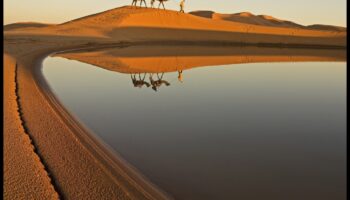 נוף חלומי במדבר: חשיפת היופי של נופים יבשים