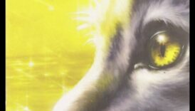 חופות לוחשות: המיסטיקה של סצנות יער ויער