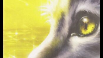 חופות לוחשות: המיסטיקה של סצנות יער ויער