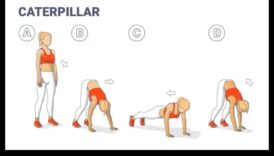 למתוח ולהתחזק: שיפור הכושר עם גמישות דינמית