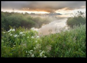 מדוע נופי ביצות חשובים לסינון וטיהור המים?