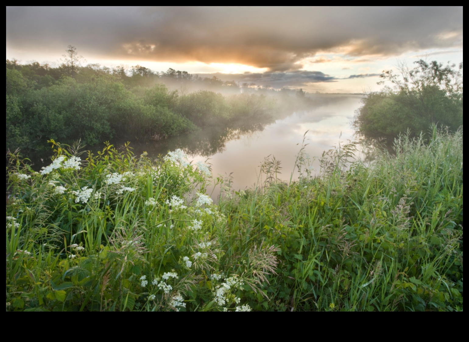 מסנני טבע ביצות 1 מדוע נופי ביצות חשובים לסינון וטיהור המים?