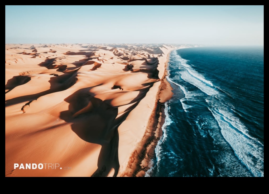 גלי יופי: נופי החוף והחוף שדמיינו מחדש