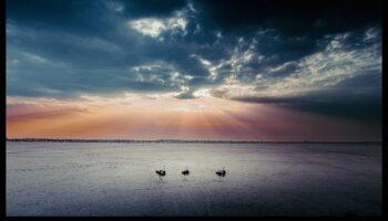 אושר פנורמי: נופים סוחפים בכל פריים