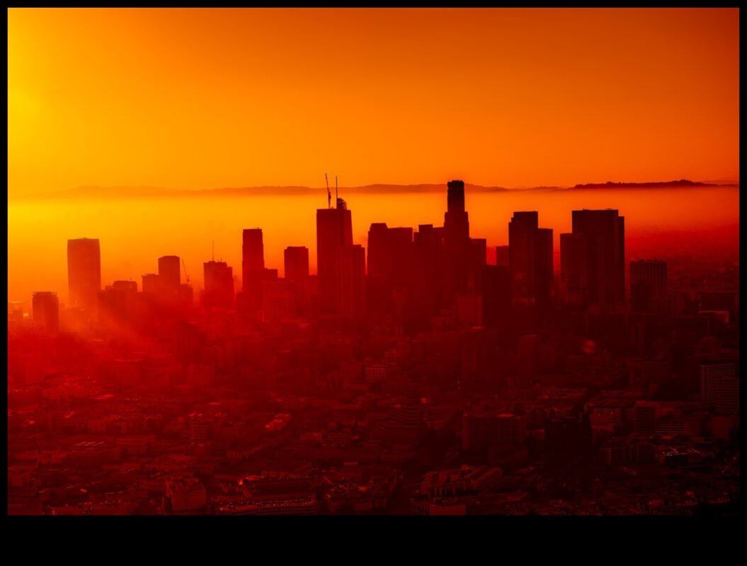 מהי השפעת זיהום האוויר על בריאות הנופים העירוניים?