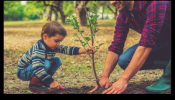 איזה תפקיד ממלאות שיטות נטיעות ילידיות בעיצוב נופים?